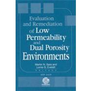 Evaluation and Remediation of Low Permeability and Dual Porosity Environments