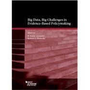 Big Data, Big Challenges in Evidence-based Policy Making