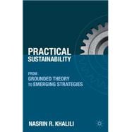 Practical Sustainability From Grounded Theory to Emerging Strategies