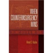 When Counterinsurgency Wins