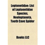 Leptonetidae : List of Leptonetidae Species, Neoleptoneta, Tooth Cave Spider