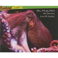 El pulpo / The Octopus