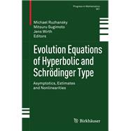 Evolution Equations of Hyperbolic and Schrodinger Type