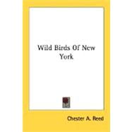 Wild Birds Of New York