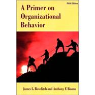 A Primer on Organizational Behavior, 5th Edition,9780471384533
