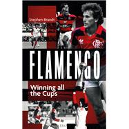 Flamengo Winning all the Cups