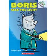 Boris Sees the Light: A Branches Book (Boris #4)