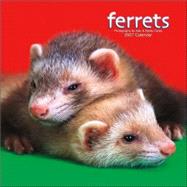 Ferrets 2007 Calendar