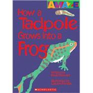 How a Tadpole Grows Into a Frog