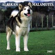 Alaskan Malamutes 2005 Calendar
