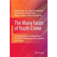 The Many Faces of Youth Crime