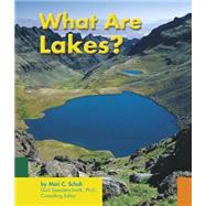 What Are Lakes?