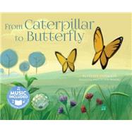 From Caterpillar to Butterfly