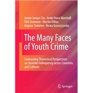 The Many Faces of Youth Crime