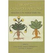 Islamic Crosspollinations