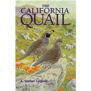 The California Quail