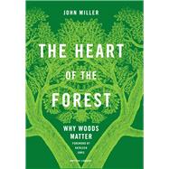 The Heart of the Forest  Why Woods Matter