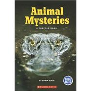 Animal Mysteries: A Chapter Book
