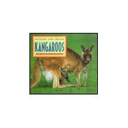 Outside and Inside Kangaroos