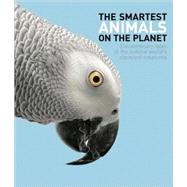 The Smartest Animals on the Planet