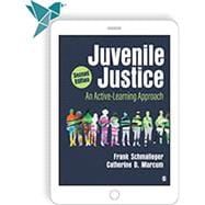 Juvenile Justice - Vantage Learning Platform