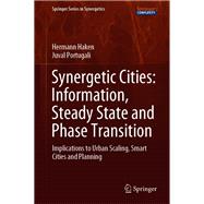 Synergetic Cities: Information, Steady State and Phase Transition