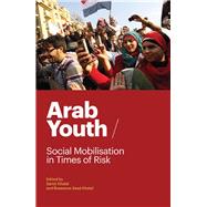 Arab Youth: Social Mobilization in Times of Risk