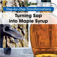 Turning Sap into Maple Syrup