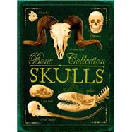 Bone Collection: Skulls