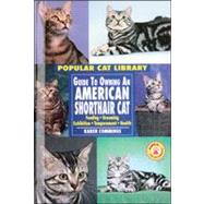 Guide to Owning an American Shorthair Cat