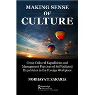Making Sense of Culture