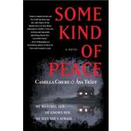 Some Kind of Peace A Novel