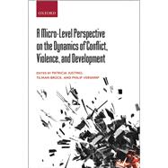 A Micro-level Perspective on the Dynamics of Conflict, Violence, and Development