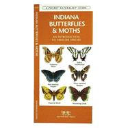 Indiana Butterflies & Moths A Folding Pocket Guide to Familiar Species