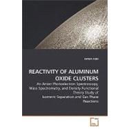 Reactivity of Aluminum Oxide Clusters
