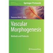 Vascular Morphogenesis