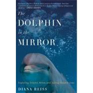 The Dolphin in the Mirror