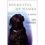 Pocketful of Names A Novel