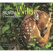Born Wild in Shenandoah