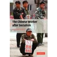 The Chinese Worker After Socialism