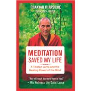 Meditation Saved My Life A Tibetan Lama and the Healing Power of the Mind