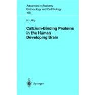 Calcium-Binding Proteins in the Human Developing Brain