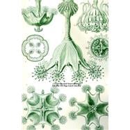 Ernst Haeckel Stauromedusae Jellyfish