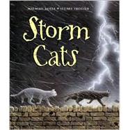 Storm Cats,9780689844645