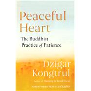 Peaceful Heart The Buddhist Practice of Patience