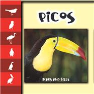Picos / Beaks and Bills
