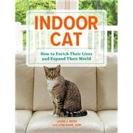 Indoor Cat How to Enrich their Lives and Expand their World