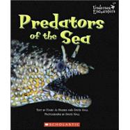 Predators of the Sea