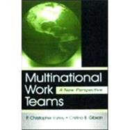 Multinational Work Teams : A New Perspective