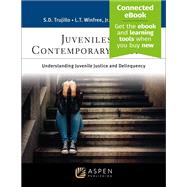 Juveniles in Contemporary Society